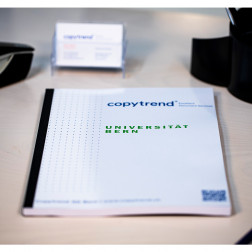 Diplomarbeit mit Fastbackbindung